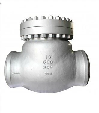 API 6D BW takaiskuventtiili